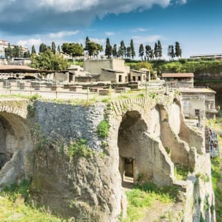 Ercolano: Visita guidata + viaggio di andata e ritorno da Napoli 4