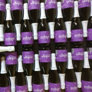 Artcava: taller de vinos "Tu cava, tu historia" 9