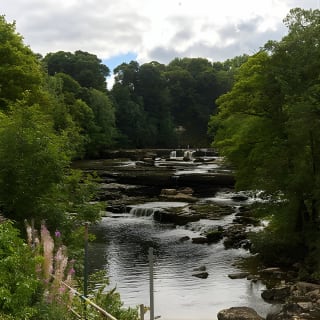 Full-Day Yorkshire Dales Tour from York 5