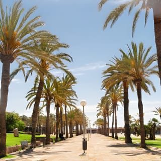 Palma Mallorca Scavenger Hunt & Self-Guided Walking Tour 10