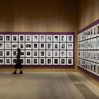 M+ Museo | Hong Kong 10