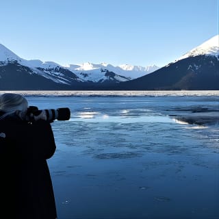 Anchorage to Wilderness Wildlife Glacier Value 20