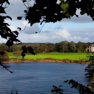 Ring of Kerry Day Tour from Limerick: Including Killarney National Park 15