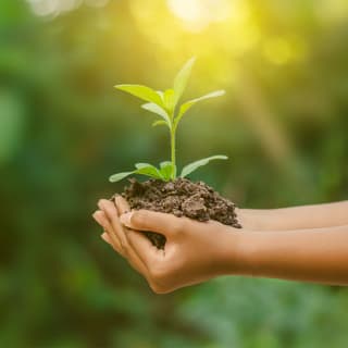 Día mundial del medioambiente 6 1