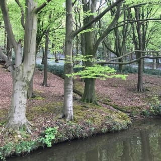 Afternoon Tea Cruise in North Yorkshire 9