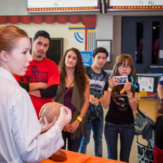 Pase al Museo de Houston: Entrada a 12 Atracciones + Descuentos 2