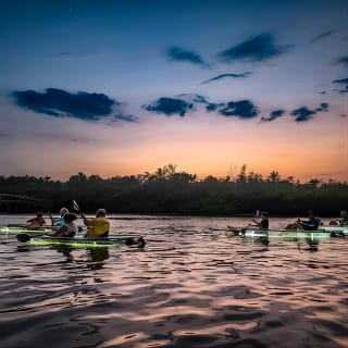 Clear Kayak LED Night Glass Bottom Tour - Siesta Key, FL 4