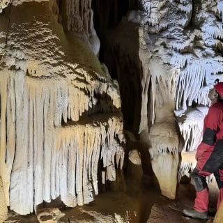 Discover one of the most beautiful caves in Alcudia. 4