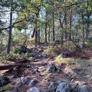 Nature Reserve Wandertour mit Grillmittag 9
