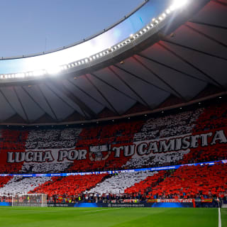 Entradas oficiales: Atlético de Madrid - Fenerbahçe SK 4