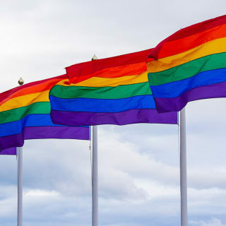 Día del Orgullo 5 1
