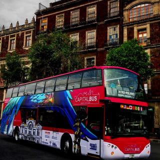 Night Tour con Capital Bus 3
