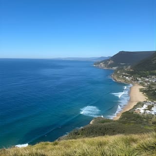 Wild Wombat et tournée du jour de kangourous depuis Sydney 12
