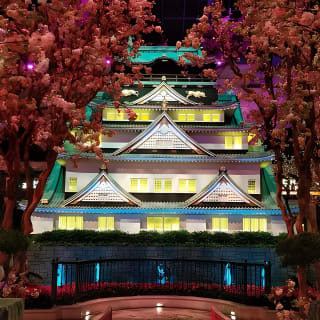 Where the Spots Are: Las Vegas Strip Walking Tour 5