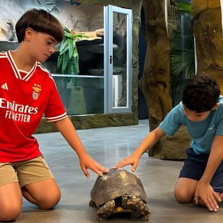 Learn about the All Inclusive Science Park 2