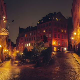 Old Town Stockholm Gamla Stan, Historic Walking Tour, small group 3