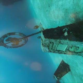 Bajo un mar de aventuras, inmersiones inolvidables. 27