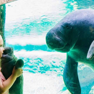 ZooTampa at Lowry Park Eintrittskarte 3
