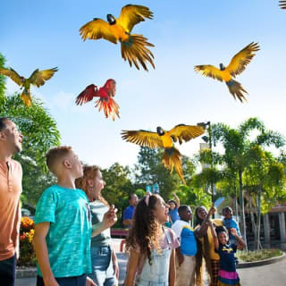 ZooTampa at Lowry Park Eintrittskarte 4