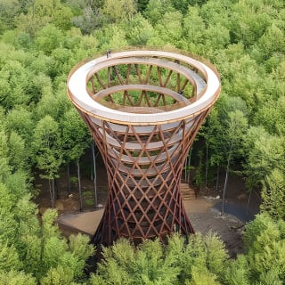 The Forest Tower and Forgotten Giants-A day tour from Copenhagen 1