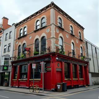 Best of Dublin: tour privato con guida locale 6