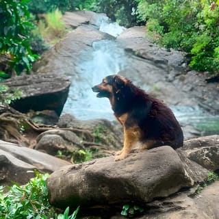 El Yunque Hike, Waterslide & Luquillo Kiosks Food with Transport 3