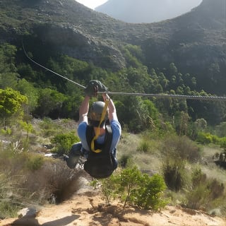 Zipline Cape Town - From Foot of Table Mountain Reserve  11
