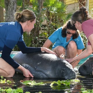ZooTampa: Fast Track Admission 6