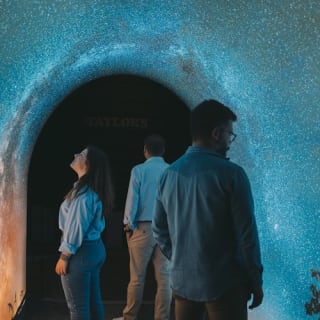 Taylor's Port Wine Cellars: Self-Guided Tour + Tasting 2