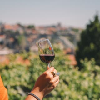 Taylor's Port Wine Cellars: Self-Guided Tour + Tasting 3