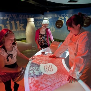 York's Chocolate Story 9