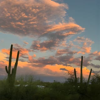 Tombstone & San Xavier, How the West was Won! 6