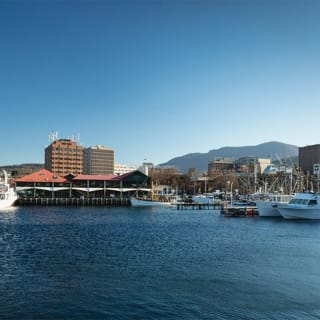 Hobart City Sightseeing Tour including MONA Admission 1