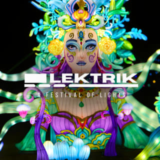 LEKTRIK ART: A Festival of Lights 2