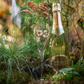 Art of the Wild with Perrier-Jouët at The Mandrake 4