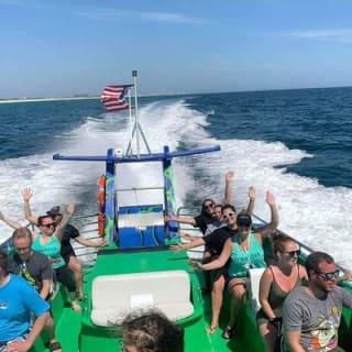Hydrojet Dolphin Cruise 7