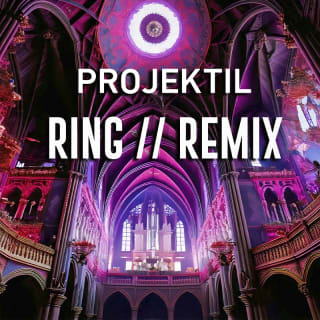 PROJEKTIL presents: RING // REMIX - Wenn Liebe auf Macht trifft 2