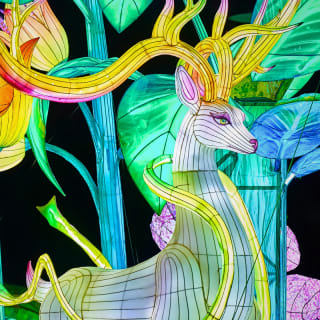 LEKTRIK ART: A Festival of Lights 3
