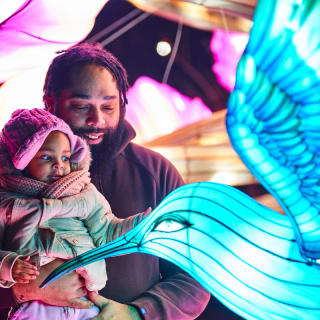 LEKTRIK ART: A Festival of Lights 4