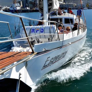 Sailing in The Bay by Catamaran (One Hour) 7