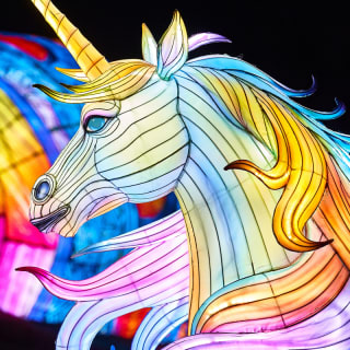 LEKTRIK ART: A Festival of Lights 5
