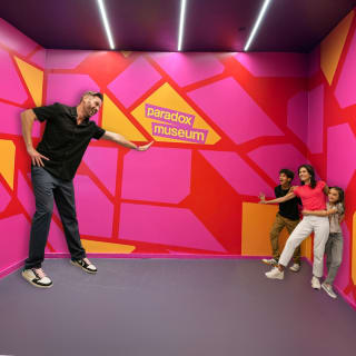 Paradox Museum Miami 6