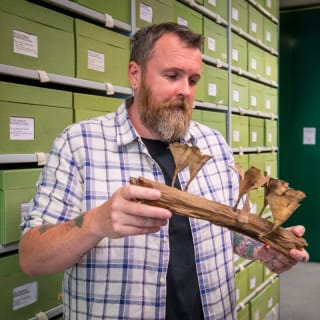 Fungarium Tours at The Royal Botanic Gardens, Kew 4