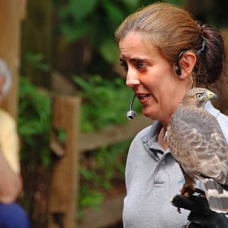 Skip the Line: Flamingo Gardens Admission Ticket in Fort Lauderdale 5