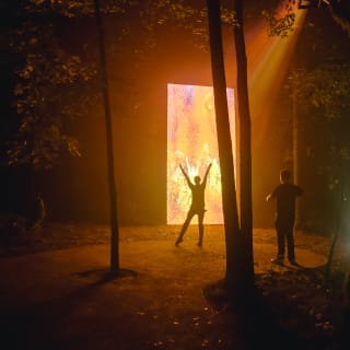 Rafael Lozano-Hemmer: Jardín inconcluso 13