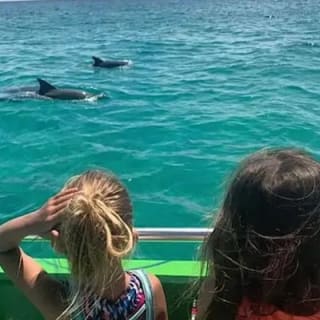 Hydrojet Dolphin Cruise 13