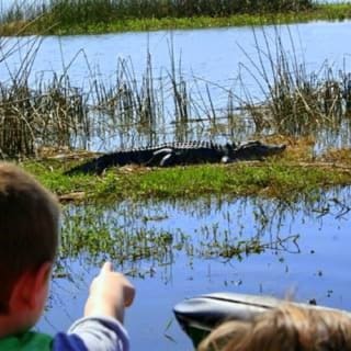 Wild Florida 30-minute Everglades Airboat Tour 3