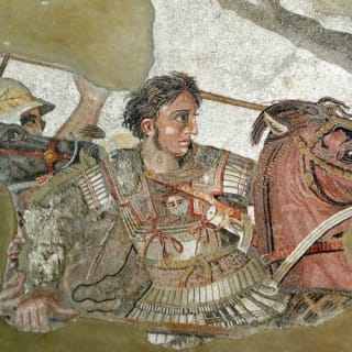 Museo Archeologico Nazionale di Napoli: Visita guidata 6