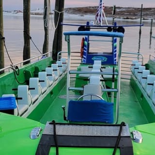 Hydrojet Dolphin Cruise 15