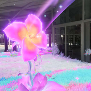 MIRRORGE OSAKA：Enchantry(エンチャントリー) 3